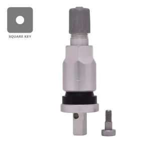 Dill VS925A TPMS Aluminum Stem Service Kit for GM, , //,