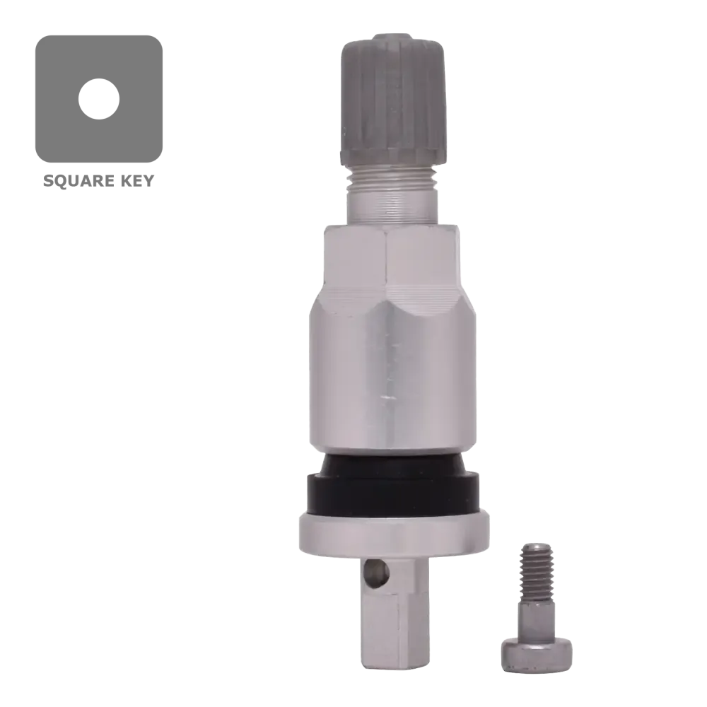 Dill VS925A TPMS Aluminum Stem Service Kit for GM, , //,
