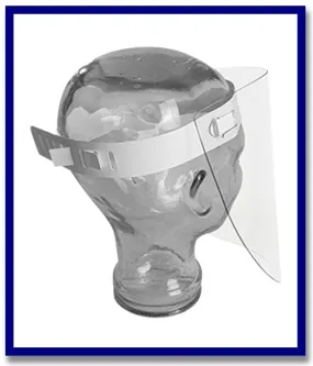 Maxisafe Disposable Clear Faceshield