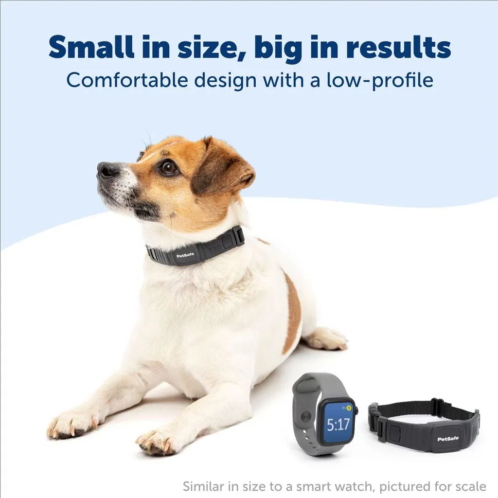 Petsafe NanoBark Collar by PetSafe Rechargeable Dog Bark Collar for Small Dogs