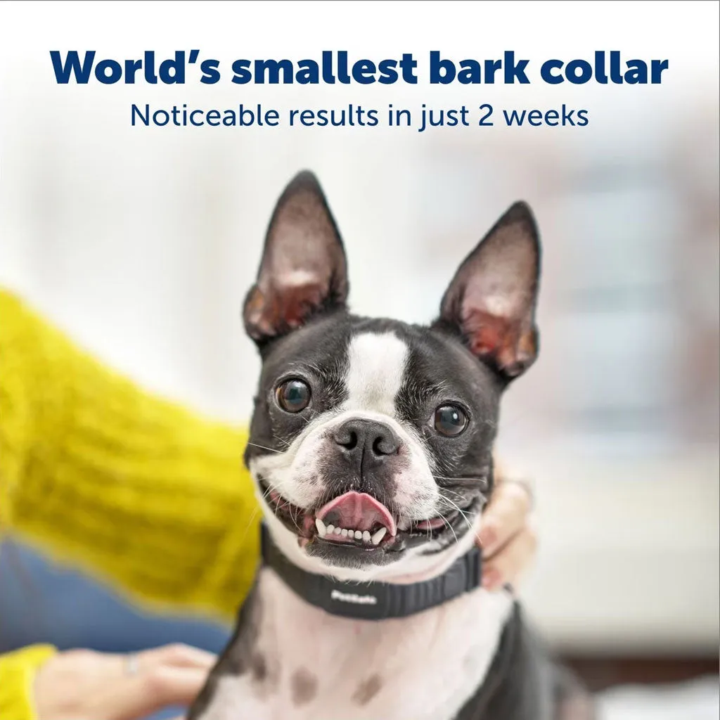 Petsafe NanoBark Collar by PetSafe Rechargeable Dog Bark Collar for Small Dogs