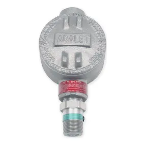 RKI S2 MPS type LEL Sensor/Transmitter with XP J-Box 65-2380
